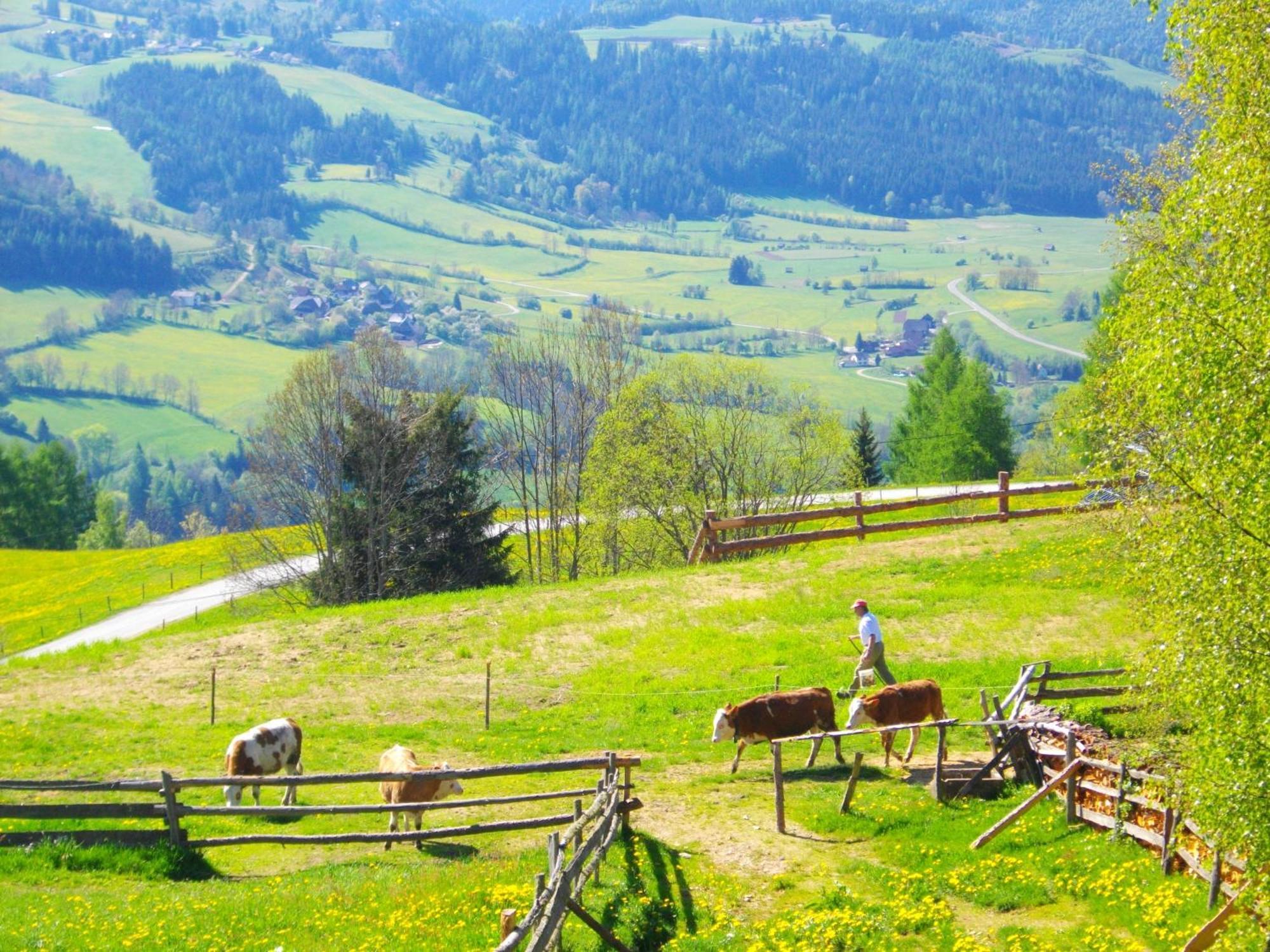 Gaestehaus Bischof Schoeder Bagian luar foto