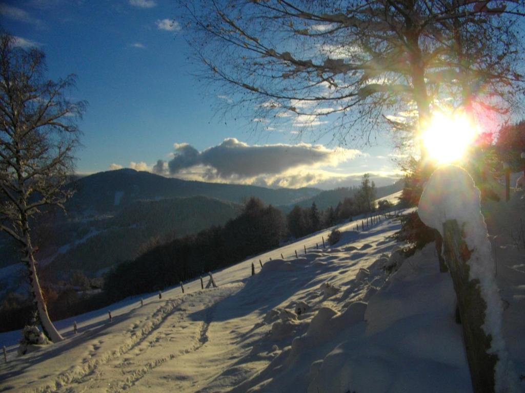 Gaestehaus Bischof Schoeder Bagian luar foto